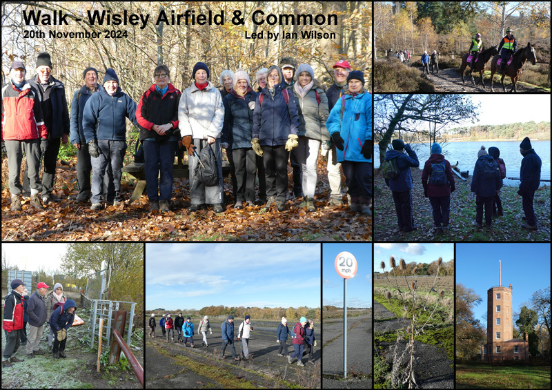 Walk - Wisley Airfield & Common - 20th November 2024